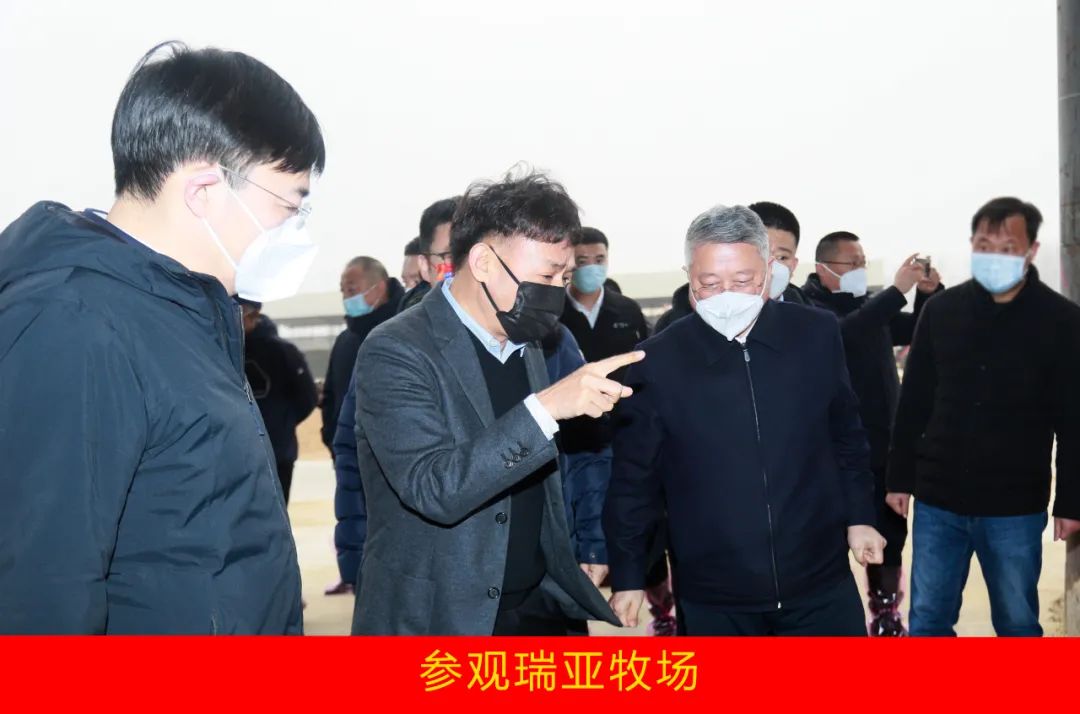 新年開新局 合作促發(fā)展丨佳木斯市委常委、副市長閆志剛一行蒞臨花花牛乳業(yè)集團(tuán)及佳田企業(yè)考察座談