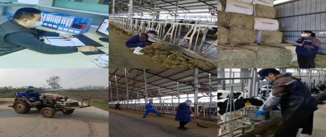 @全體花花牛人：請珍惜你的崗位，請善待我們共同的“花花牛”！