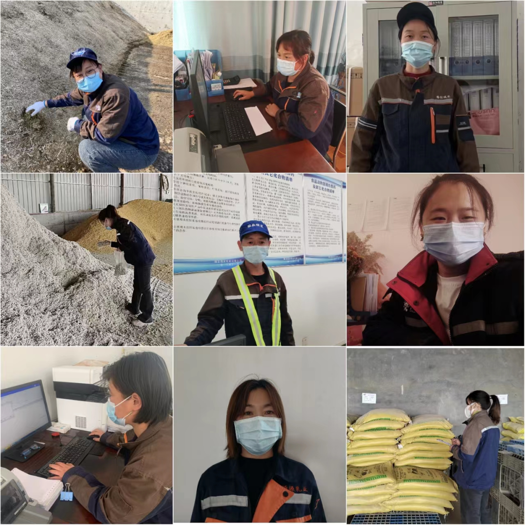 花花牛丨點(diǎn)點(diǎn)微光匯星河——養(yǎng)殖事業(yè)部抗疫保生產(chǎn)側(cè)記 花花牛丨點(diǎn)點(diǎn)微光匯星河——養(yǎng)殖事業(yè)部抗疫保生產(chǎn)側(cè)記