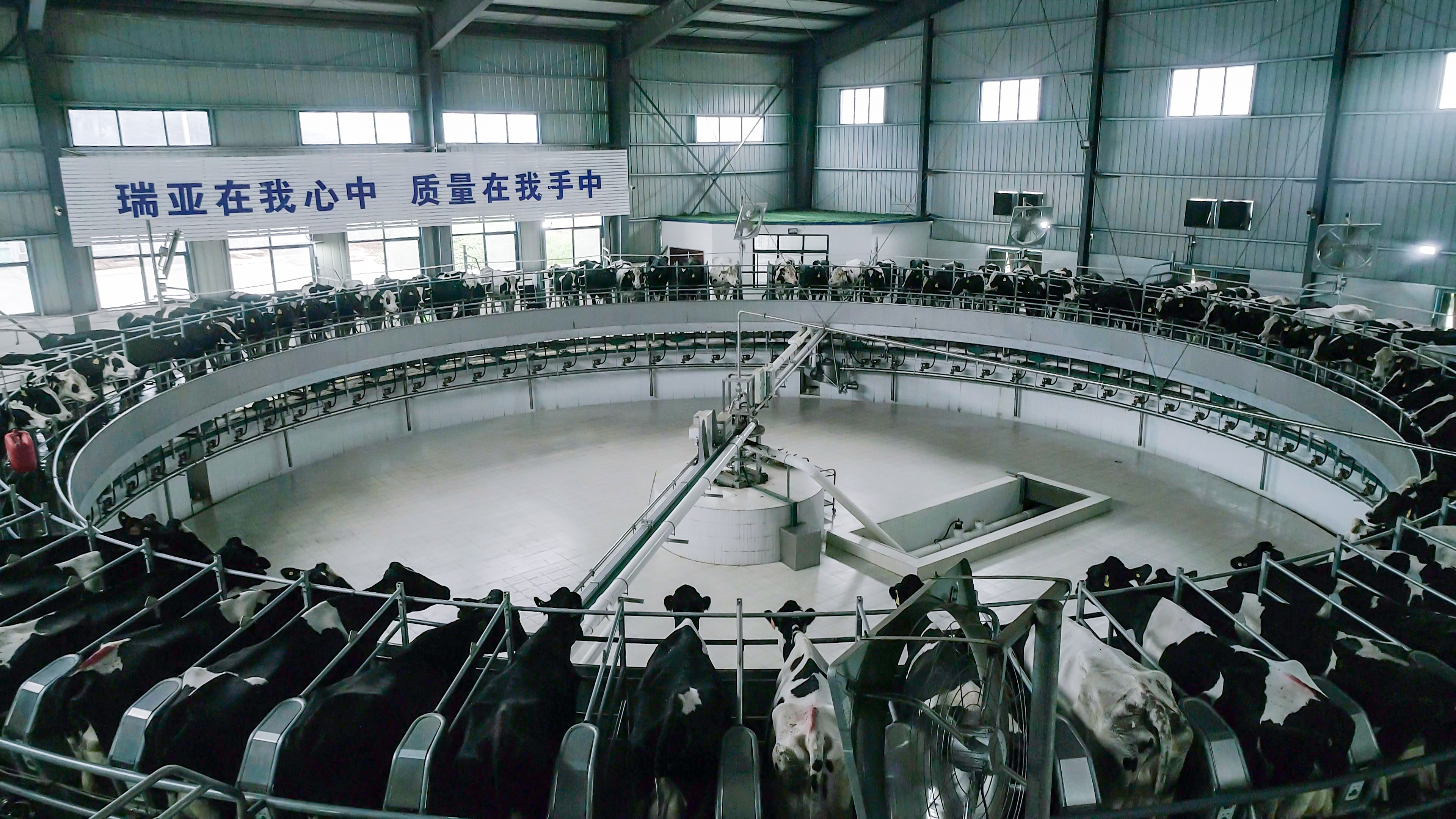 河南省人大常委會(huì)黨組書記、副主任孔昌生蒞臨花花牛魯山瑞亞牧場(chǎng)參觀調(diào)研