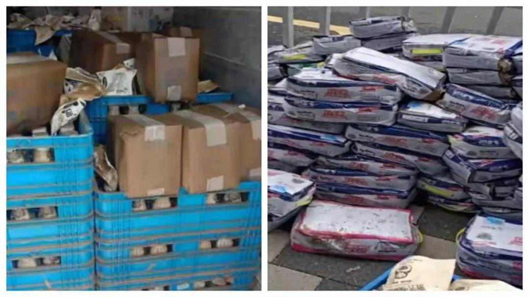 【乳報·聚焦】“豫”難而上的中原牛人“太中了”！