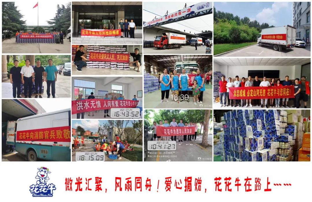 【乳報·聚焦】“豫”難而上的中原牛人“太中了”！