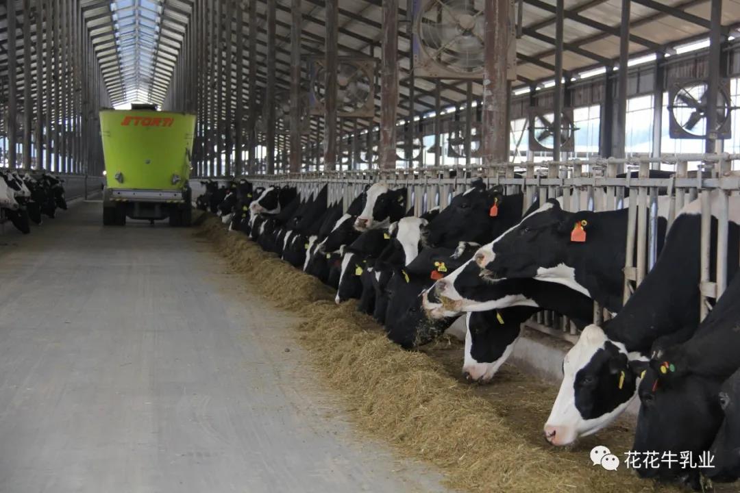 快訊 | 鄭州市人大常委會(huì)主任胡荃蒞臨河南瑞亞牧業(yè)調(diào)研 快訊 | 鄭州市人大常委會(huì)主任胡荃蒞臨河南瑞亞牧業(yè)調(diào)研