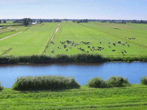 春風(fēng)吹 戰(zhàn)鼓擂——不負(fù)春天好時(shí)光 春風(fēng)吹 戰(zhàn)鼓擂——不負(fù)春天好時(shí)光