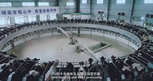 榮譽(yù) | 2019年度河南省美麗牧場名單新鮮出爐 花花牛乳業(yè)集團(tuán)旗下六個(gè)牧場榜上有名 榮譽(yù) | 2019年度河南省美麗牧場名單新鮮出爐 花花牛乳業(yè)集團(tuán)旗下六個(gè)牧場榜上有名