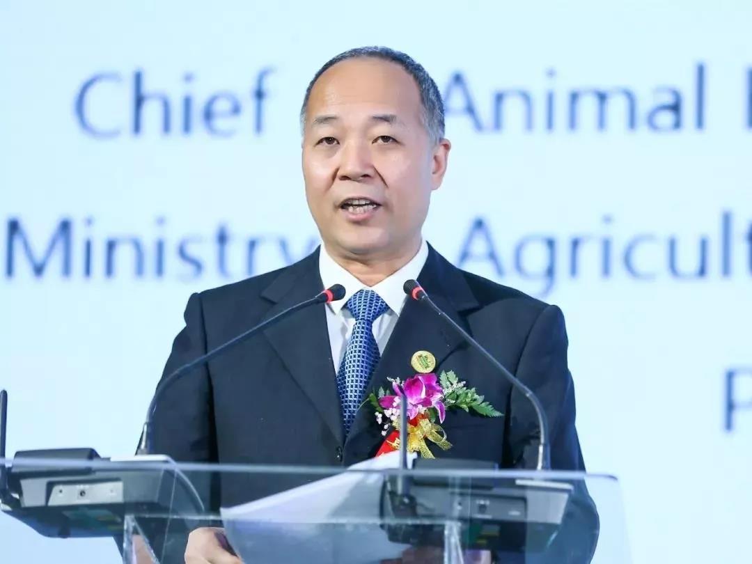 SDDDC走進(jìn)河南，看看花花牛的國(guó)際范兒！