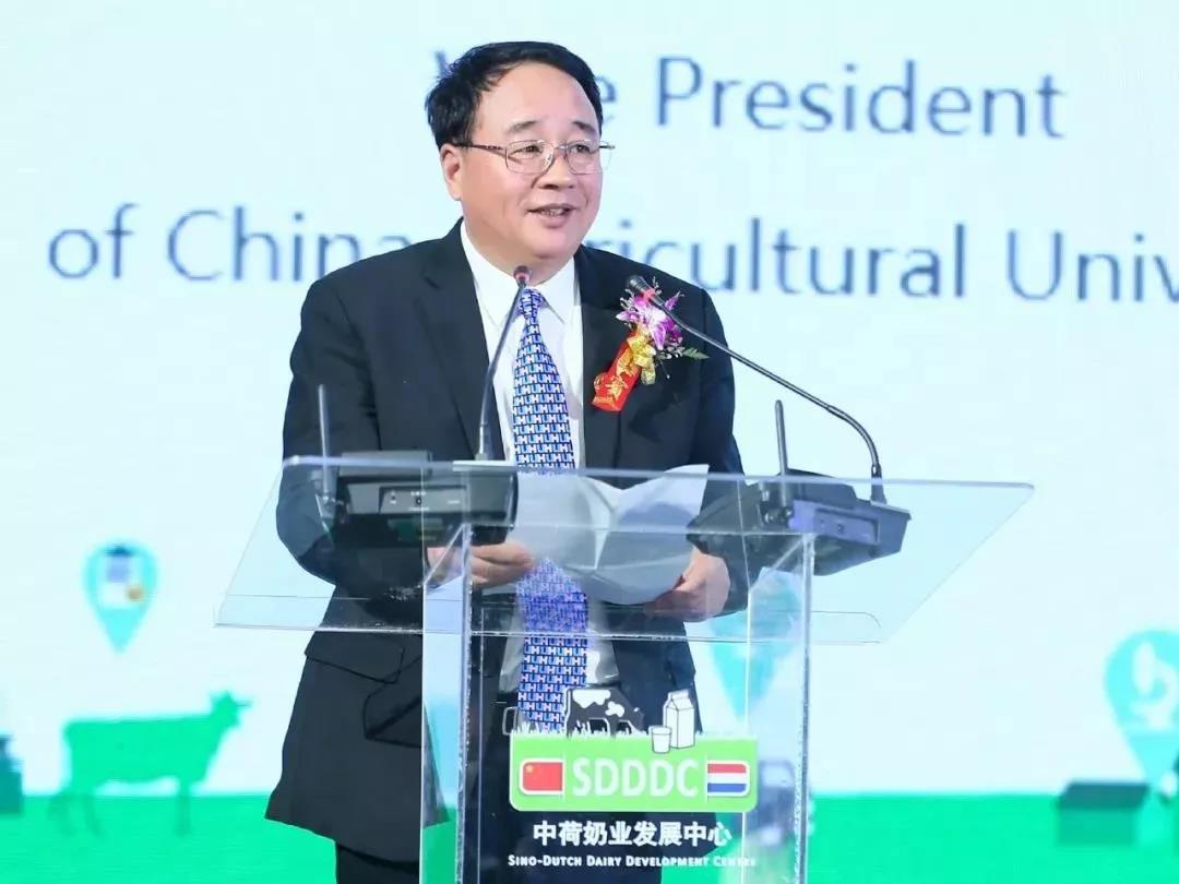 SDDDC走進(jìn)河南，看看花花牛的國(guó)際范兒！