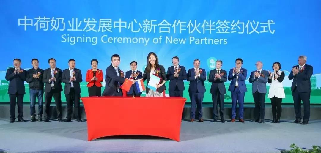 SDDDC走進(jìn)河南，看看花花牛的國(guó)際范兒！