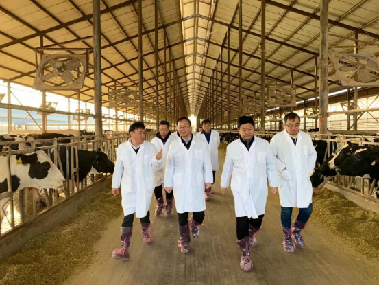 寧夏回族自治區(qū)農(nóng)業(yè)農(nóng)村廳黨組書記、廳長王剛一行蒞臨花花牛乳業(yè)集團(tuán)調(diào)研