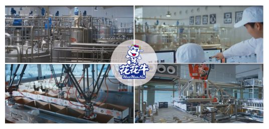 榮獲全國“質(zhì)量月”五項大獎，花花牛真牛！