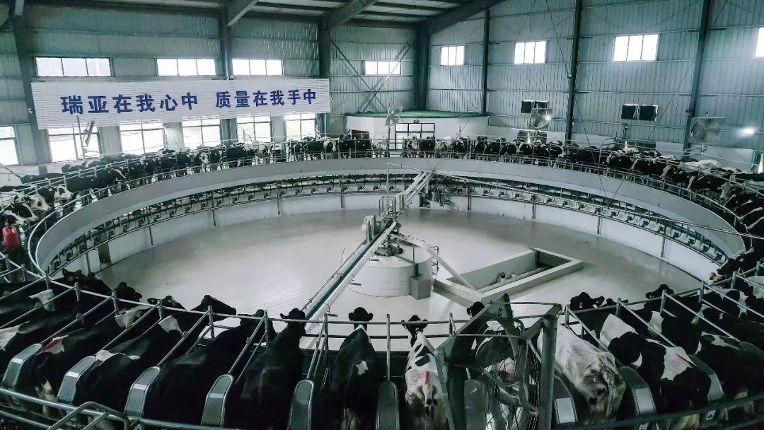 省委書記王國生到河南花花牛乳業(yè)集團(tuán)·新蔡瑞亞牧業(yè)有限公司調(diào)研