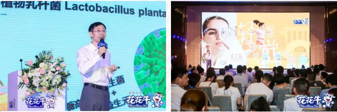 花花牛輕覺上市暨優(yōu)質(zhì)乳工程認(rèn)證發(fā)布會(huì)，盛大啟幕！