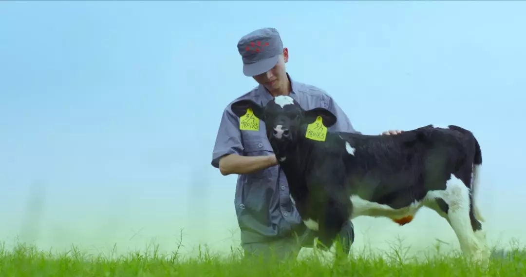 喜報 | 國家市場監(jiān)管總局抽檢，花花牛等112家企業(yè)乳品抽檢全部合格