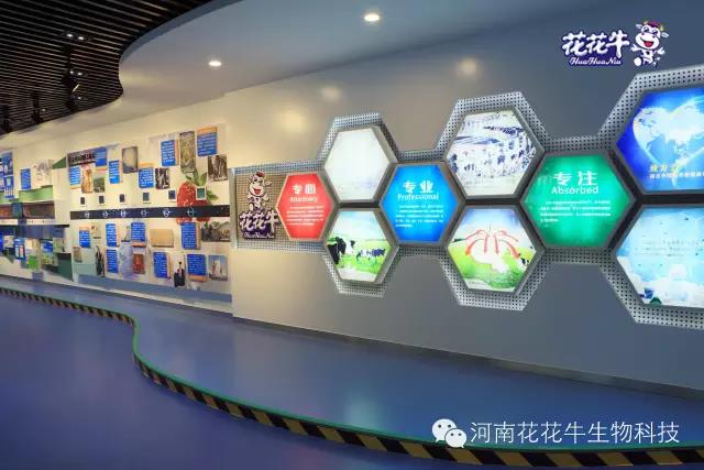花花牛：務(wù)實(shí)、創(chuàng)新領(lǐng)潮市場(chǎng) 大企業(yè)體現(xiàn)大擔(dān)當(dāng)