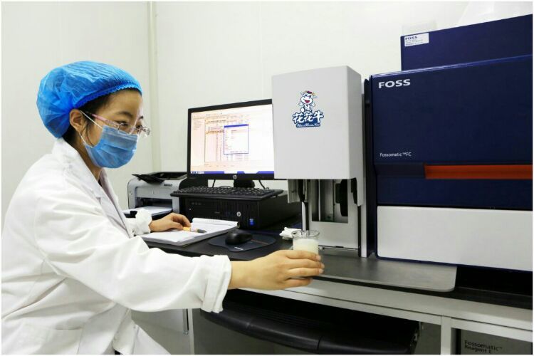 花花牛：務(wù)實(shí)、創(chuàng)新領(lǐng)潮市場(chǎng) 大企業(yè)體現(xiàn)大擔(dān)當(dāng)