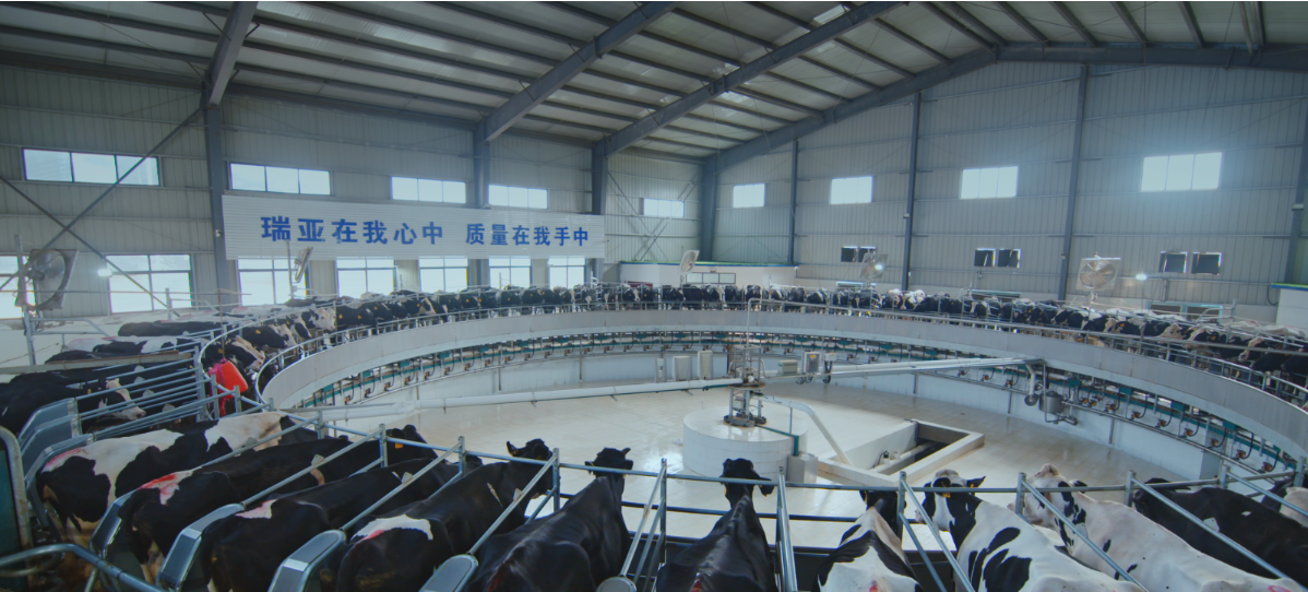 1735267221155881.png image.png