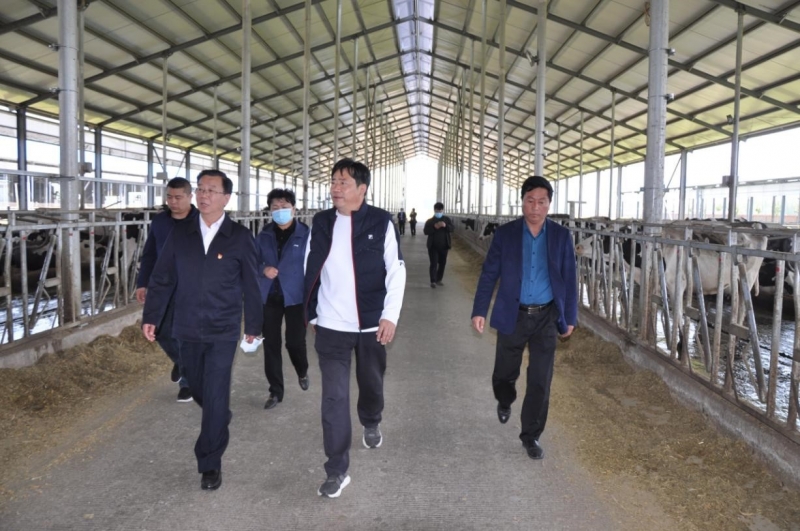商丘市委常委、宣傳部部長王全周一行蒞臨睢縣瑞亞牧業(yè)有限公司調(diào)研